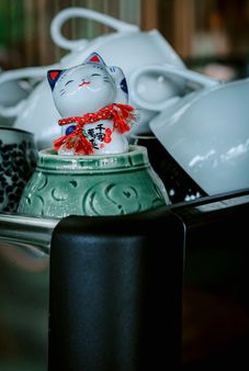 xì tố Kubet